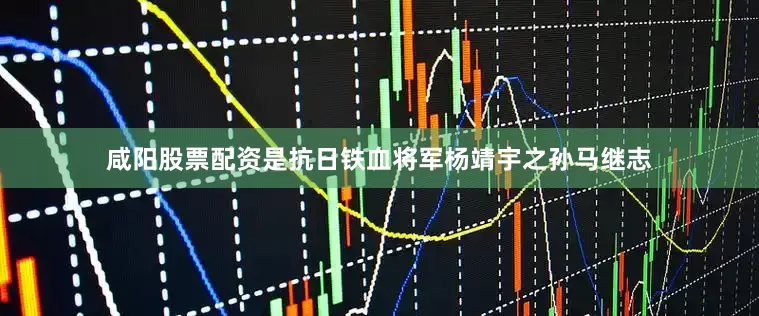 咸阳股票配资是抗日铁血将军杨靖宇之孙马继志