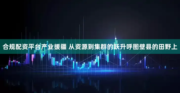 合规配资平台产业援疆 从资源到集群的跃升呼图壁县的田野上