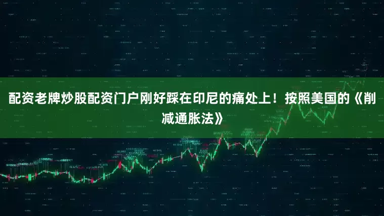 配资老牌炒股配资门户刚好踩在印尼的痛处上！按照美国的《削减通胀法》