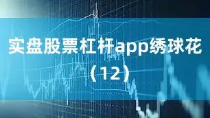 实盘股票杠杆app绣球花（12）