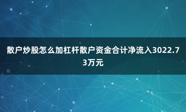 散户炒股怎么加杠杆散户资金合计净流入3022.73万元