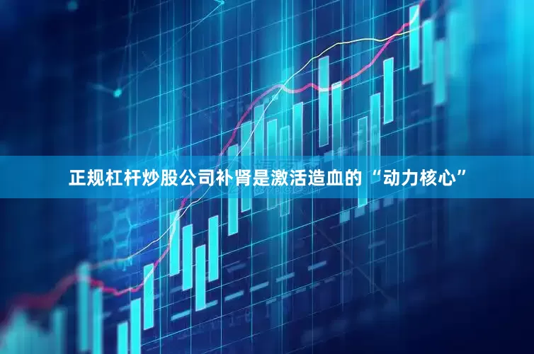 正规杠杆炒股公司补肾是激活造血的 “动力核心”