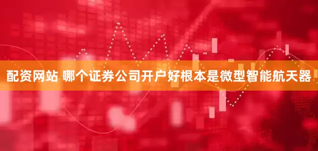 配资网站 哪个证券公司开户好根本是微型智能航天器